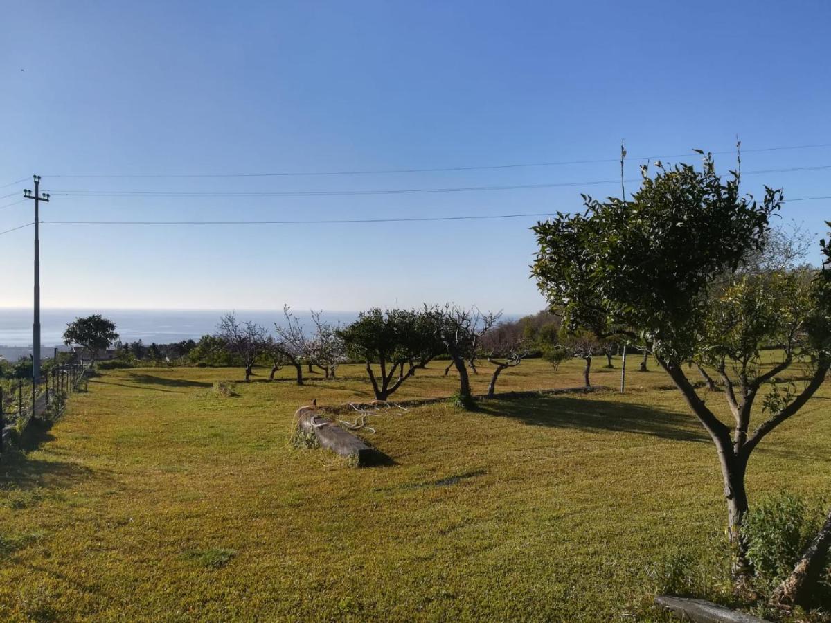 Villa Capogrecale - Piscina Riscaldata Piedimonte Etneo Dış mekan fotoğraf