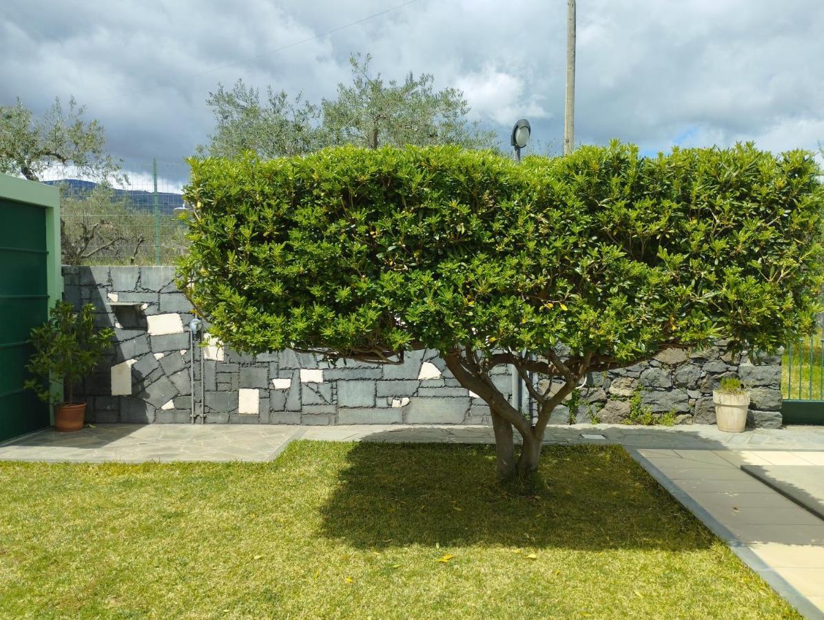 Villa Capogrecale - Piscina Riscaldata Piedimonte Etneo Dış mekan fotoğraf