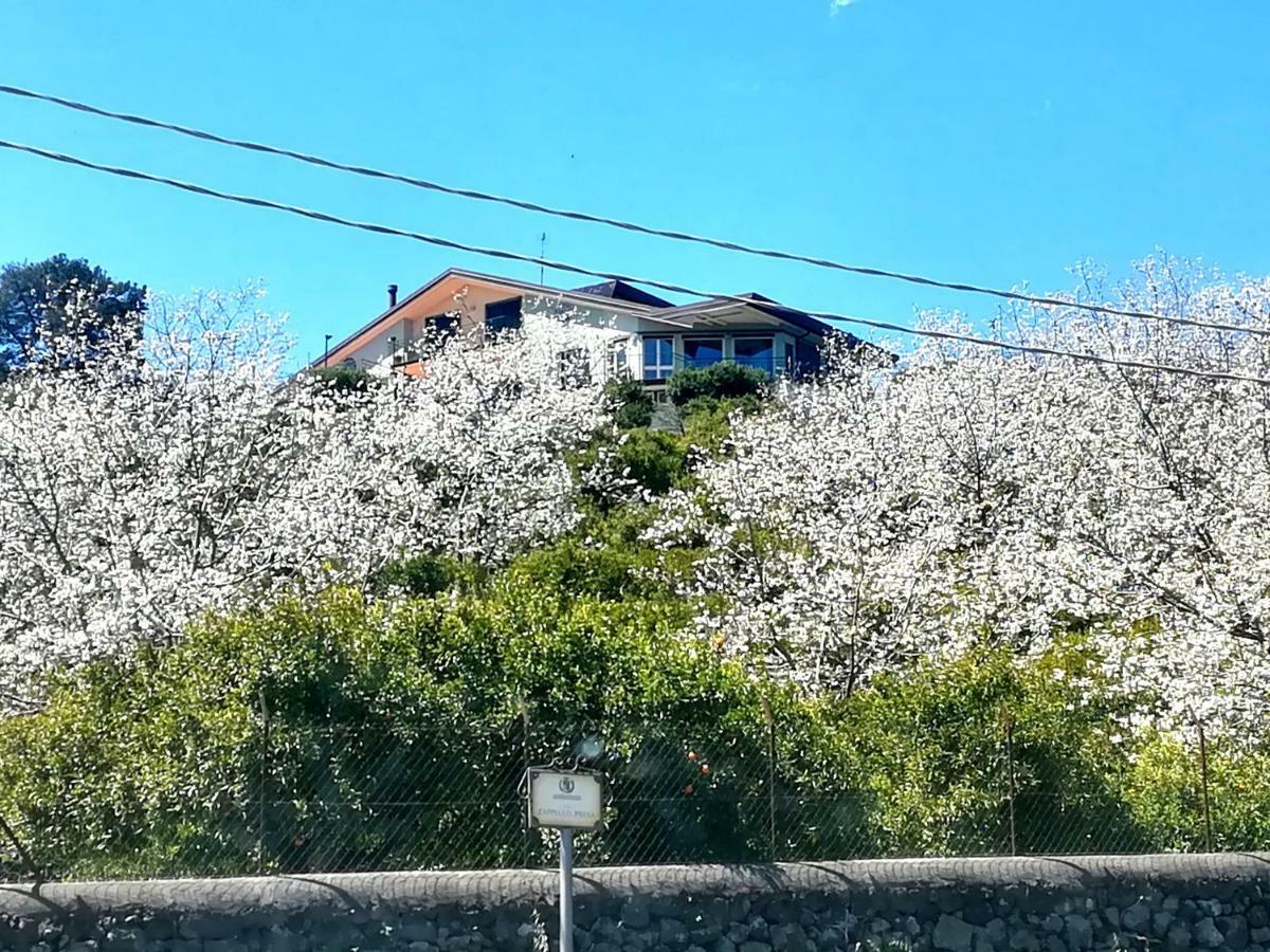 Villa Capogrecale - Piscina Riscaldata Piedimonte Etneo Dış mekan fotoğraf